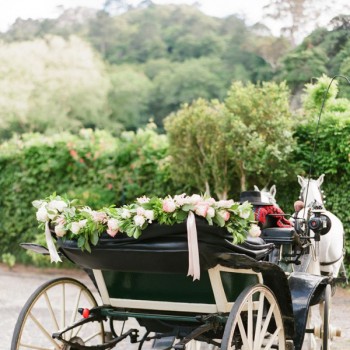 Horse-Drawn-Carriage